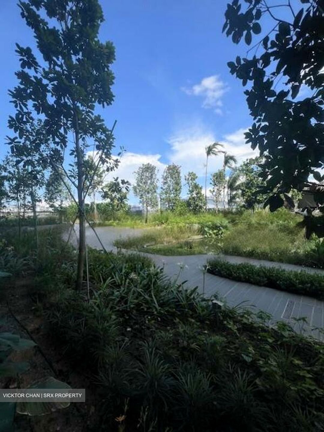 Pasir Ris Drive 8 (D18), Condominium #456701371